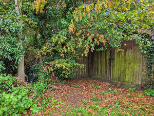 Photo 23- click for photo gallery